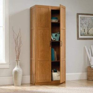 Best Storage Cabinets for Living Room