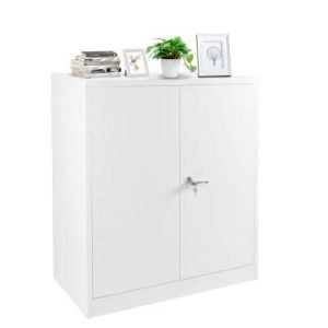 INTERGREAT Metal Storage Cabinet with Shelves