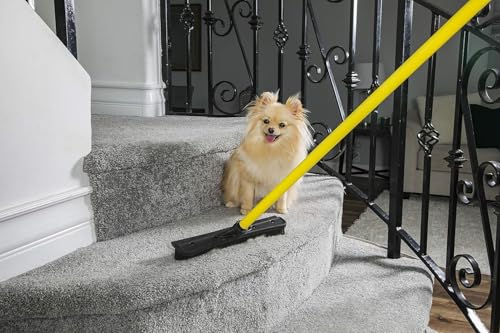 Best Broom For Carpet