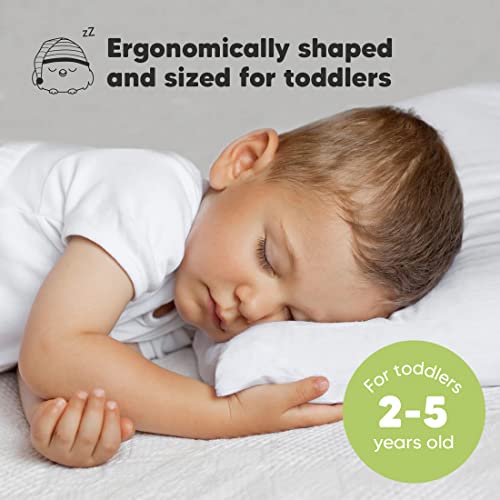 Best Pillow For Toddlers