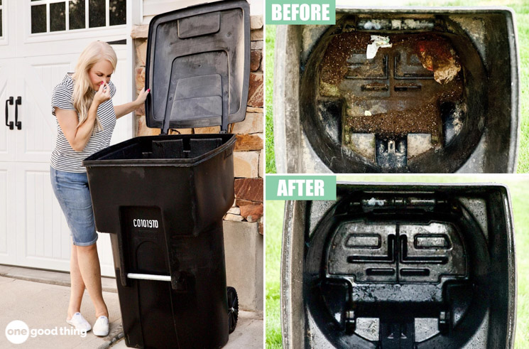 How To Clean Outside Trash Can