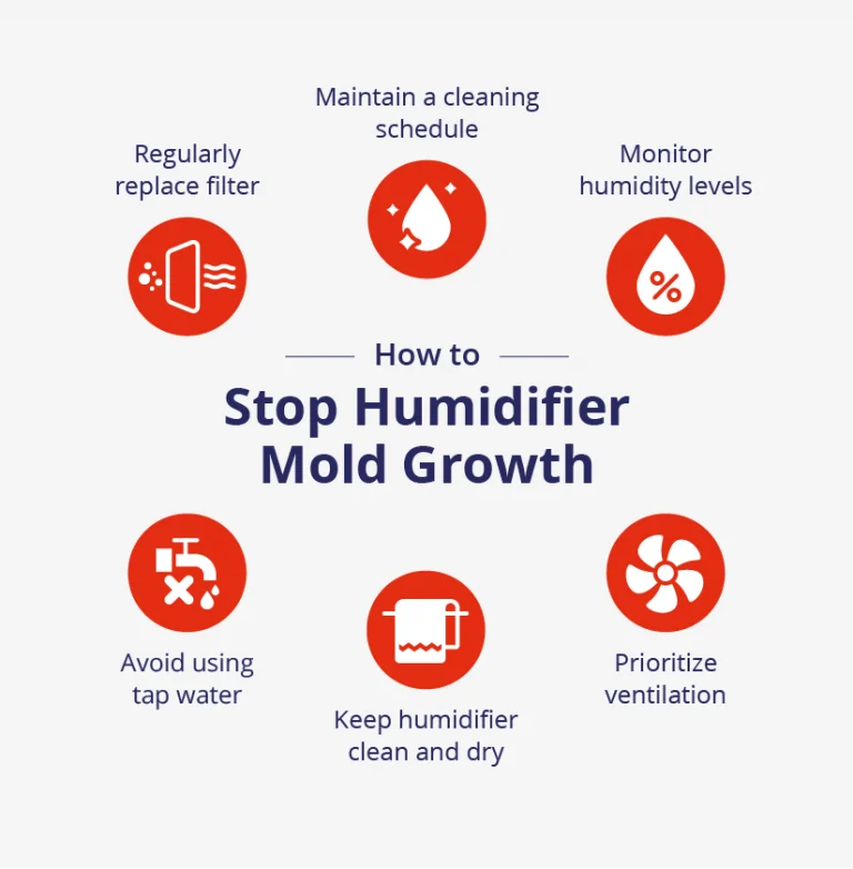 How To Avoid Mold In Humidifier