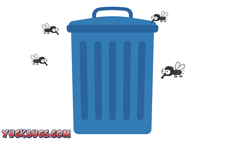 How To Keep Flies Away From Trash Can