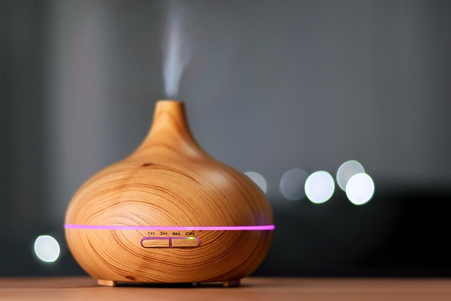Best Humidifier For Easy Cleaning