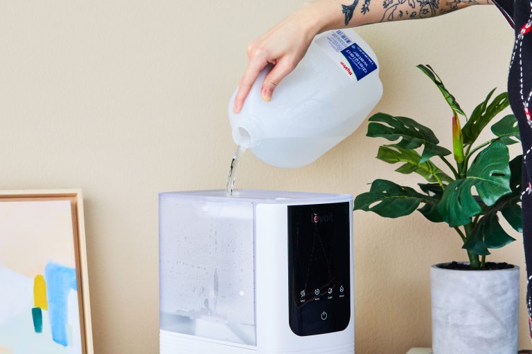 Are Humidifiers Good For Plants