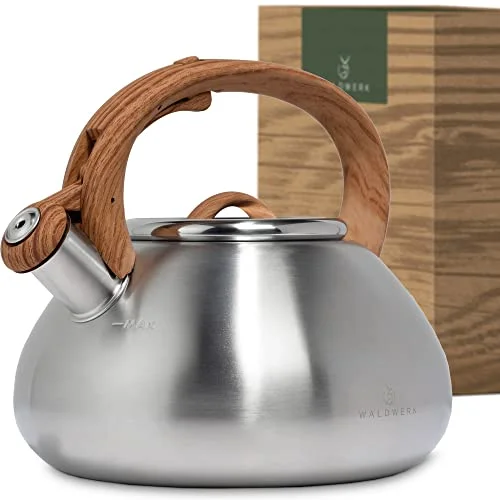 Best Kettle For Induction Cooktop