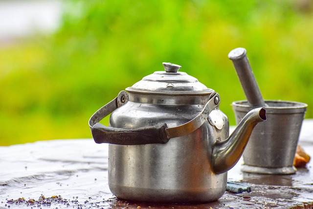 Best Kettle Descaler