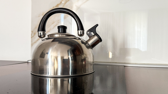 best Stainless Steel Tea Kettle