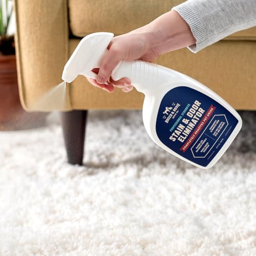 Best Enzyme Cleaner For Carpet