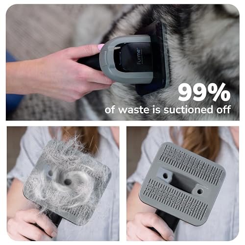 Dog Grooming Vacuum Reviews