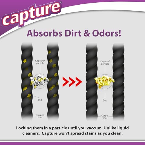 Best Dry Carpet Cleaning Powder