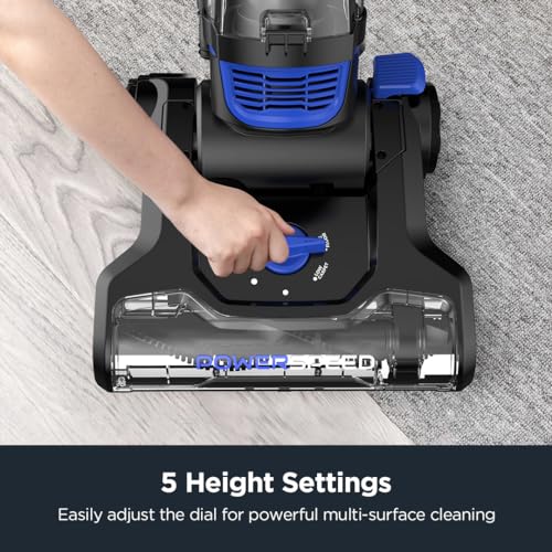 Best Vacuum For Old Carpet