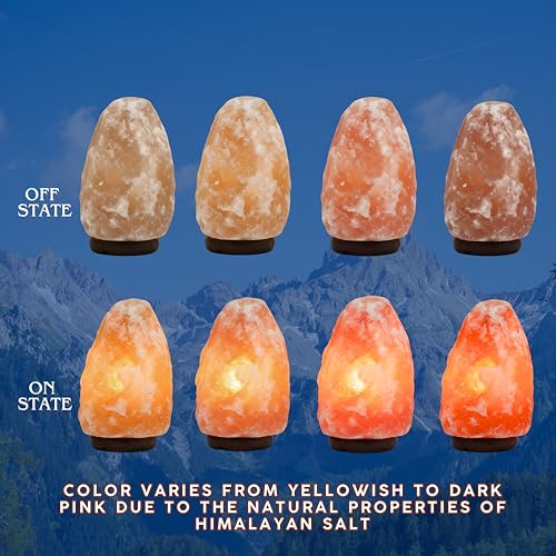 Best Himalayan Salt Lamp