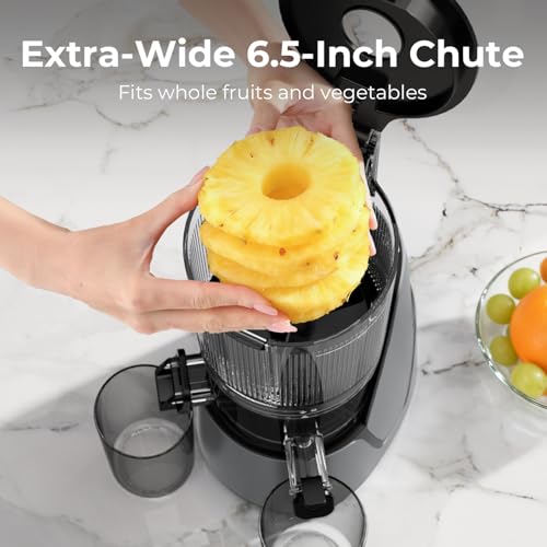 Best Non Toxic Juicer