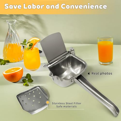 Best Grape Juicer
