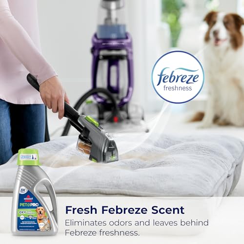 Best Smelling Carpet Cleaner
