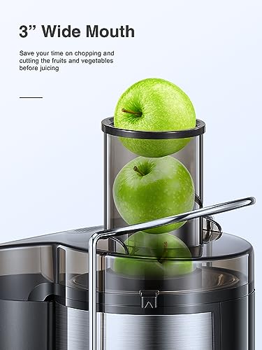 Best Juicer For Apples