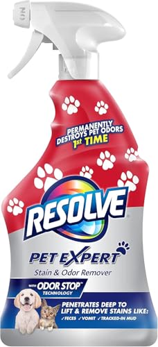 Best Carpet Cleaner For Puke
