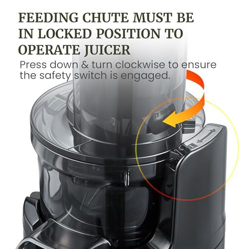 Best Small Size Juicer