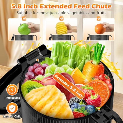 Best Juicer For Carrot Juice