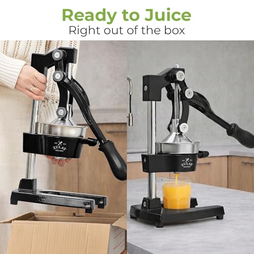 Best Pomegranate Juicer