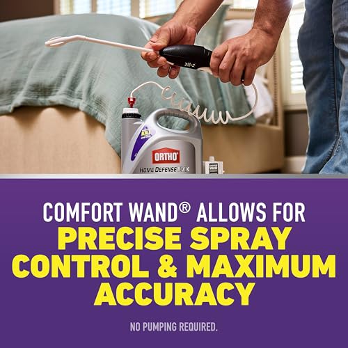 Best Carpet Cleaner For Bed Bugs