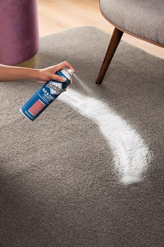 Best Carpet Stain Protector