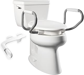 Best Bidet for Handicapped