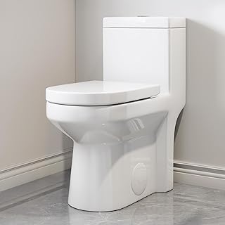 Best 10 Inch Rough in Toilets