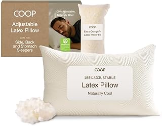 Best Shredded Latex Pillow