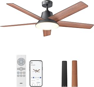 Best Smart Ceiling Fan