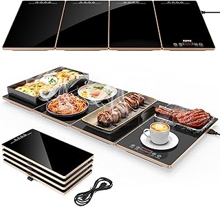 Best Hot Plate Food Warmers
