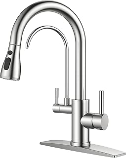 Best Kitchen Faucets With Water Filter
