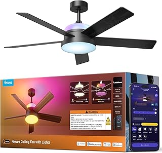 Best Smart Ceiling Fan With Light
