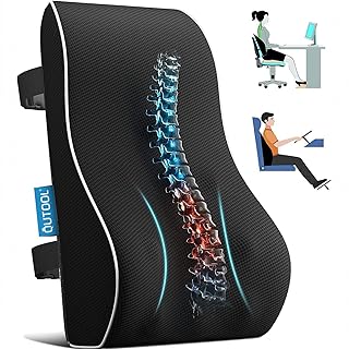 Best Lumbar Pillow