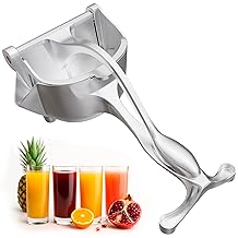 Best Juicer for Watermelon
