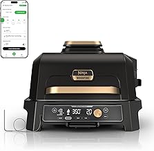 Best Outdoor Air Fryers