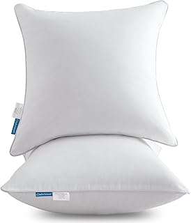 Oubonun 18"x18" Pillow Inserts (Set 2)