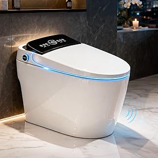 Best Tankless Toilets