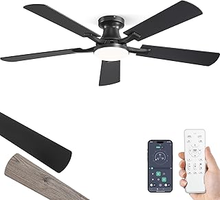 ZMISHIBO 52 Inch Ceiling Fan Light