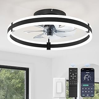 Best Small Ceiling Fan With Ligh