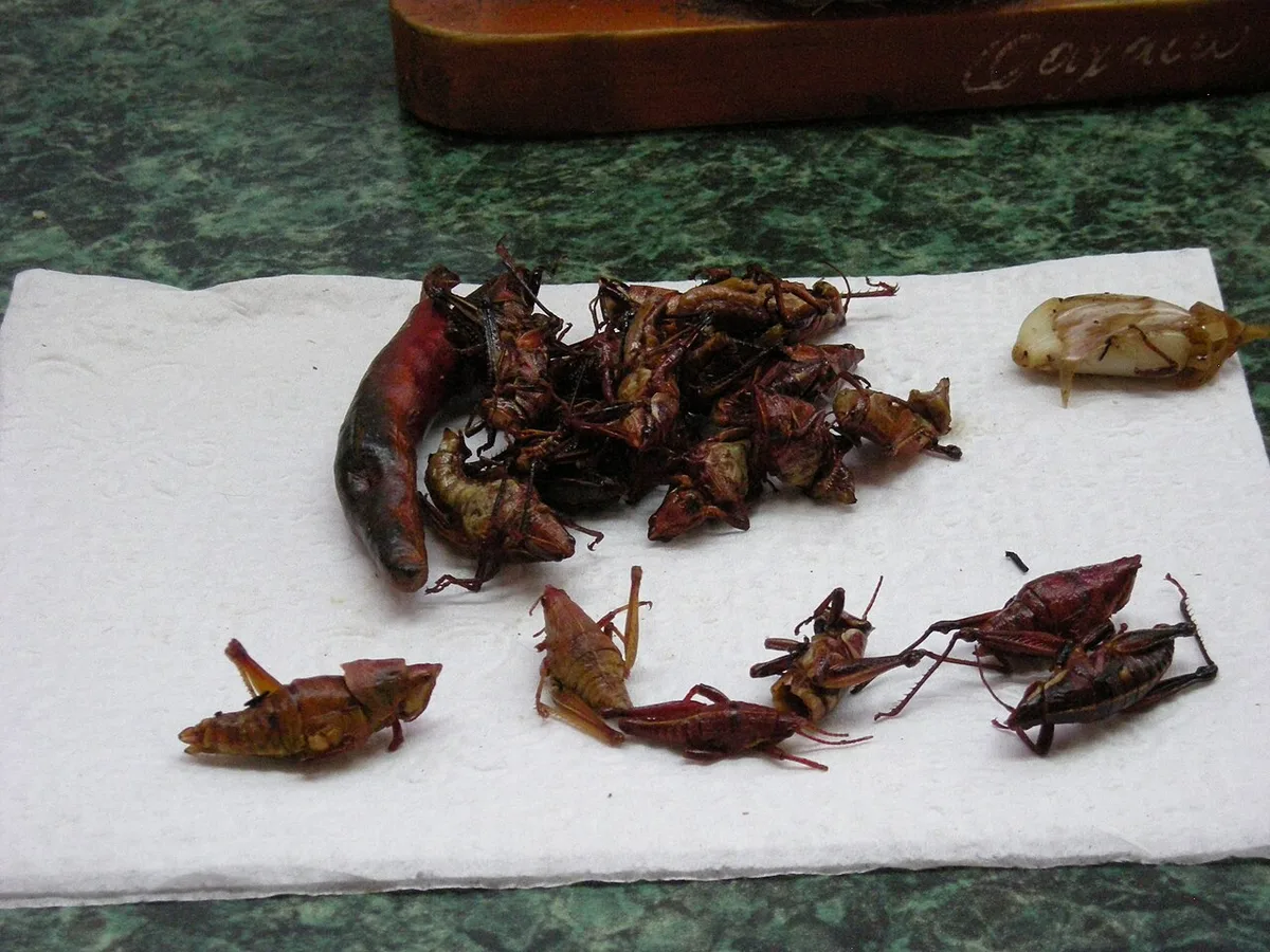 garlice cloe