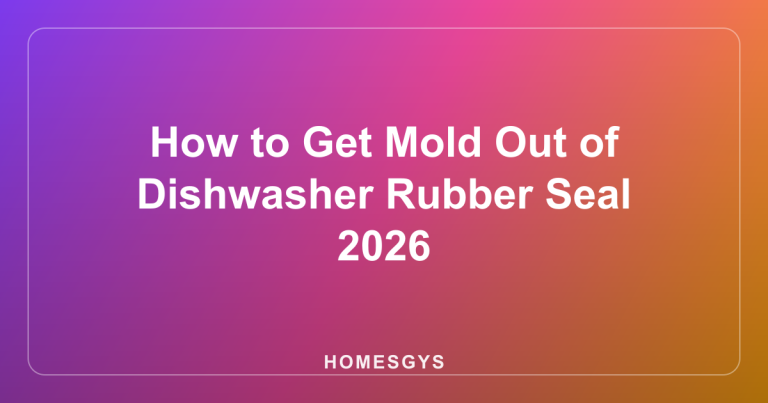 How to Get Mold Out of Dishwasher Rubber Seal 2026