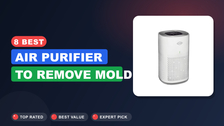 Best Air Purifier to Remove Mold