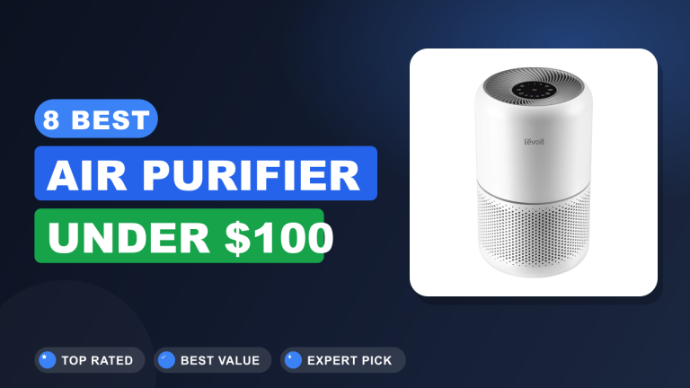 Best Air Purifier Under $100