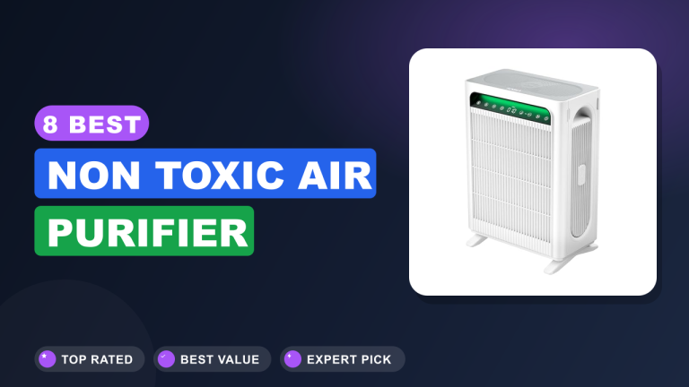 Best Non Toxic Air Purifier