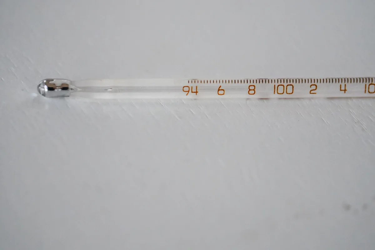 digital meat thermometer