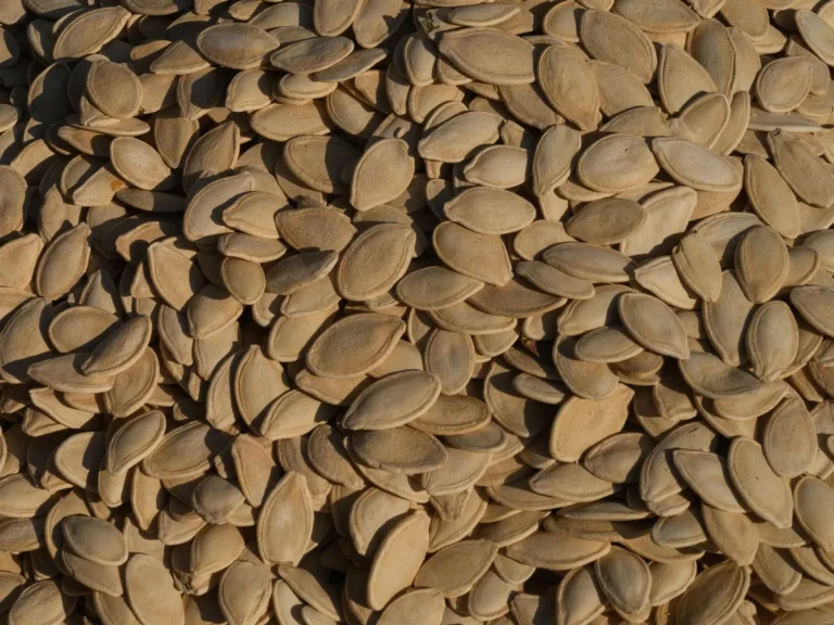 How to Toast Pumpkin Seeds in Skillet