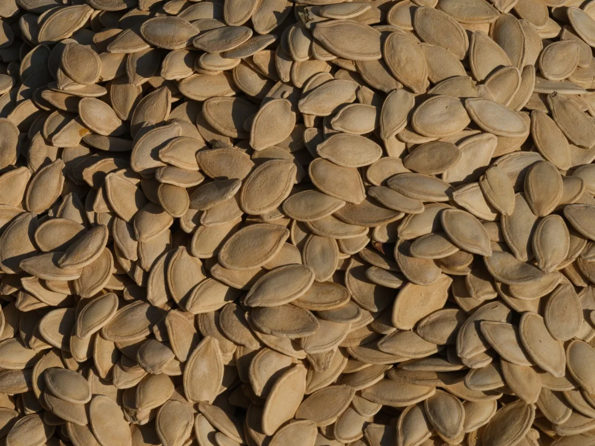 how to toast pumpkin seeds in skillet