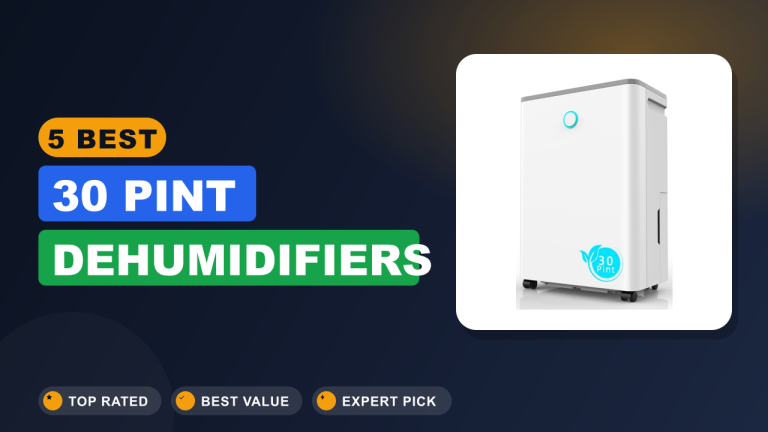 5 Best 30 Pint Dehumidifiers